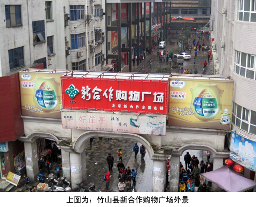 神龙架面积和人口_许愿神龙图片(3)